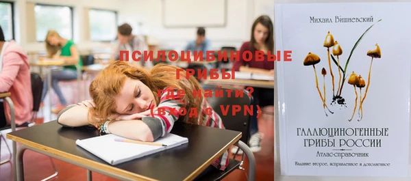 герыч Алексин