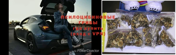 герыч Алексин