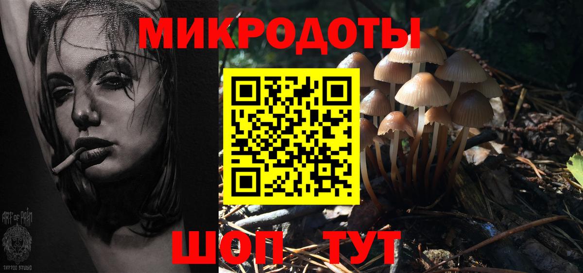 Псилоцибиновые грибы MAGIC MUSHROOMS Апатиты