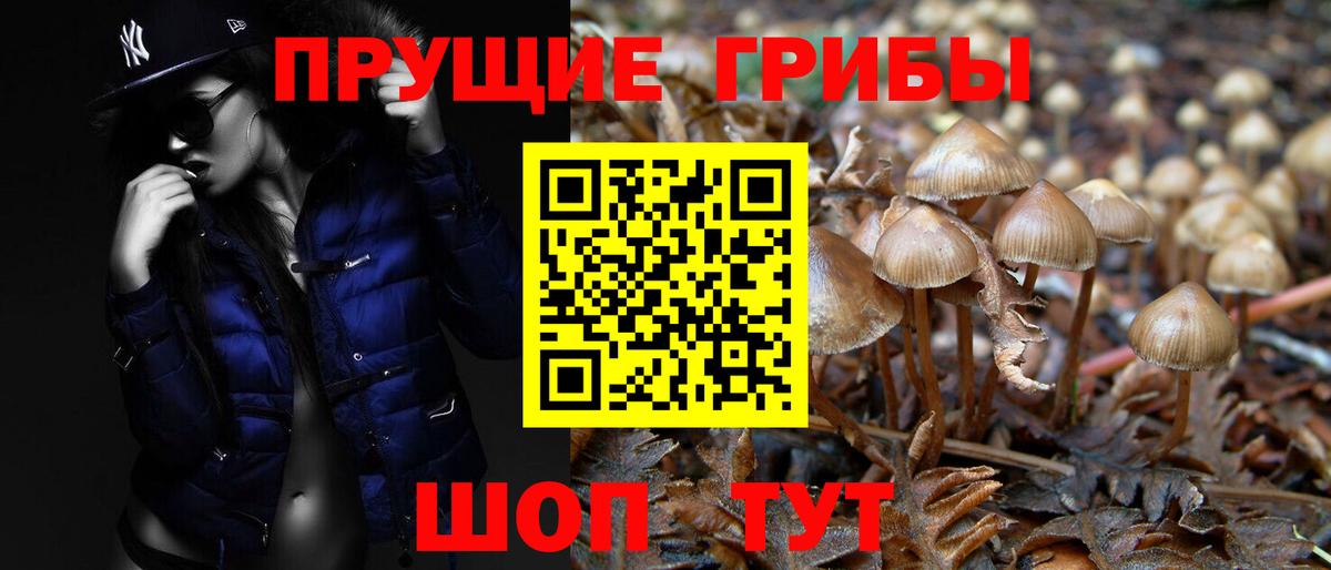Псилоцибиновые грибы GOLDEN TEACHER  Вход с VPN  Апатиты 